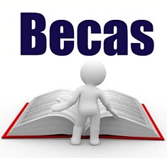 Becas pregrado 2014