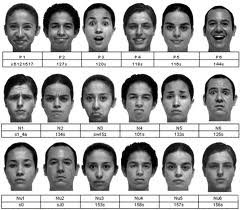 Concurso de Bases Biológicas y Cátedra de Psicología