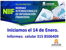 Taller sobre Normas Internacionales de Información Financiera