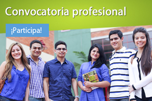 Convocatoria profesional