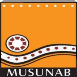 Lanzamiento de Aplicación Android MUSUNAB-AR