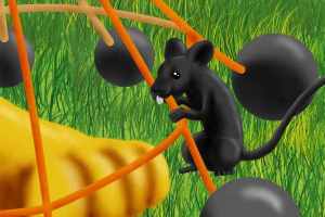 Lecciones para emprendedores