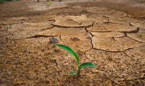 Coloquio internacional sobre cambio climático