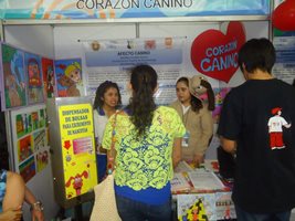 Vuelve a la UNAB la Feria infantil y juvenil de ciencia, tecnología e innovación