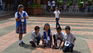 Iniciativas inscritas de semilleros de investigación de colegios