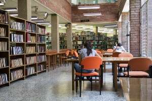 Trabajos de remodelación en la Biblioteca