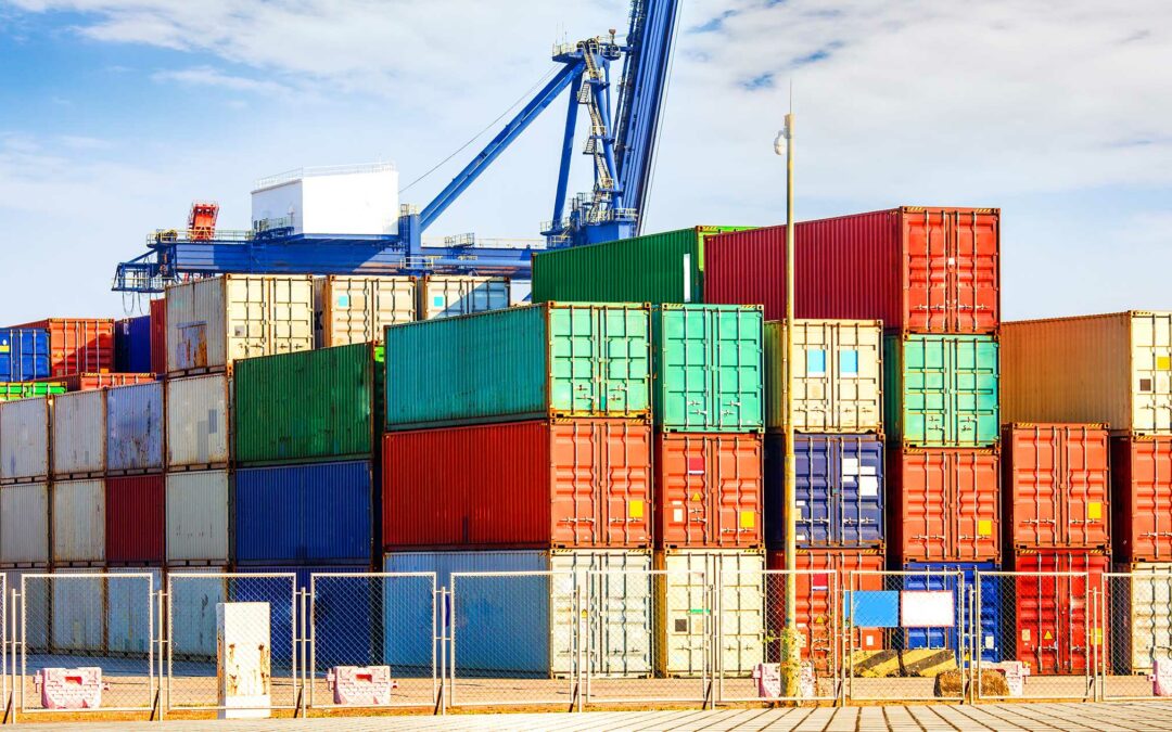 Experto temático en Fiscalización, Tributación y Temas Aduaneros – Comercio Exterior para la Facultad de Economía y Negocios