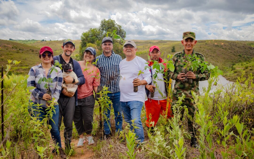 UNAB ha sembrado cerca de 1.000 árboles como compensación ecológica