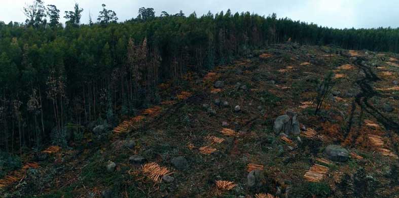 UNAB abre convocatoria nacional de becas para convertirse en Técnico Profesional en Peritaje Ambiental