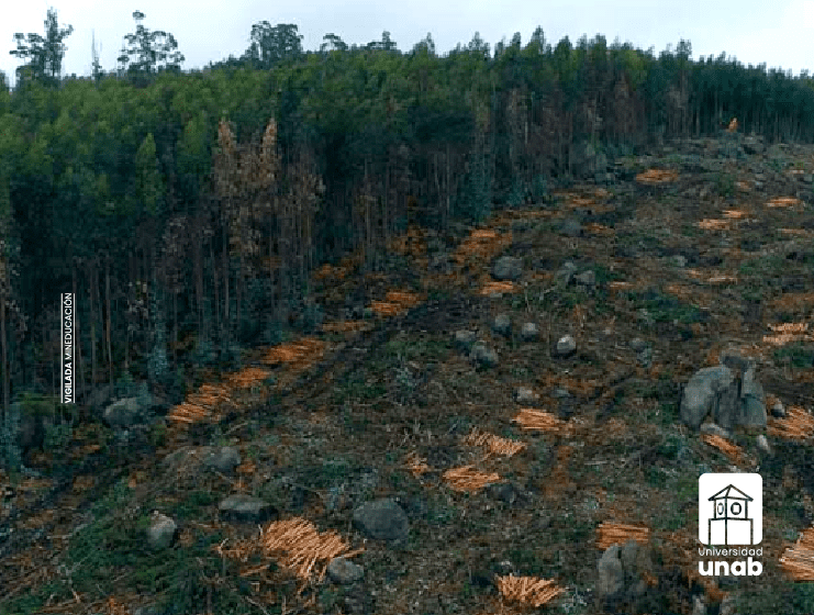 UNAB extiende convocatoria nacional de becas para convertirse en Técnico Profesional en Peritaje Ambiental