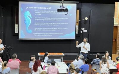 Volver sobre lo fundamental: reflexión sobre el PEI