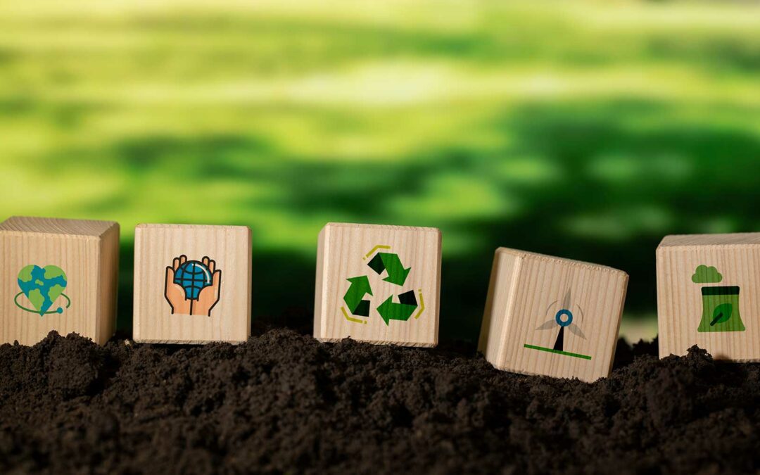 Menor en Ambiente y sostenibilidad