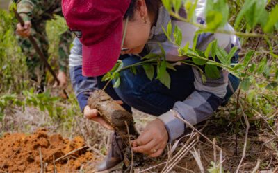 Prepárate como experto ambiental y marca la diferencia