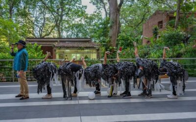 Conoce los ganadores del Festival de Disfraces 2024