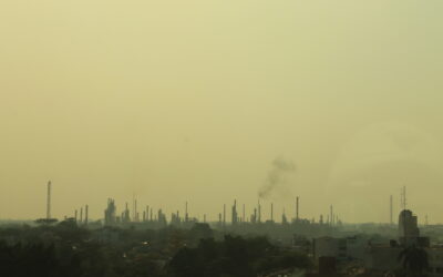 UNAB y aliados finalizan proyecto de fortalecimiento para la lucha contra la deforestación