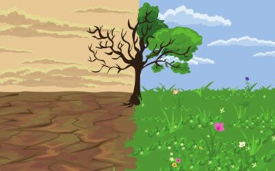 UNAB aporta a la lucha contra la desertificación y la sequía en el mundo