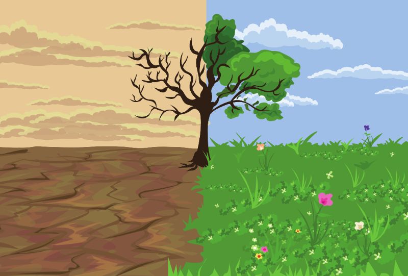 UNAB aporta a la lucha contra la desertificación y la sequía en el mundo