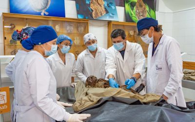 Coordinador medio tiempo para el Internado del programa de Medicina de la Facultad de Ciencias de la Salud