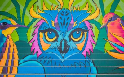 La UNAB renueva uno de sus espacios deportivos