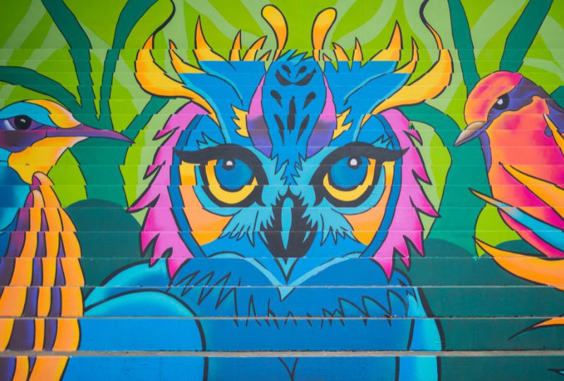 La UNAB renueva uno de sus espacios deportivos