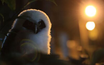 Conozca los ganadores del concurso de fotografía SEPA+ 2025