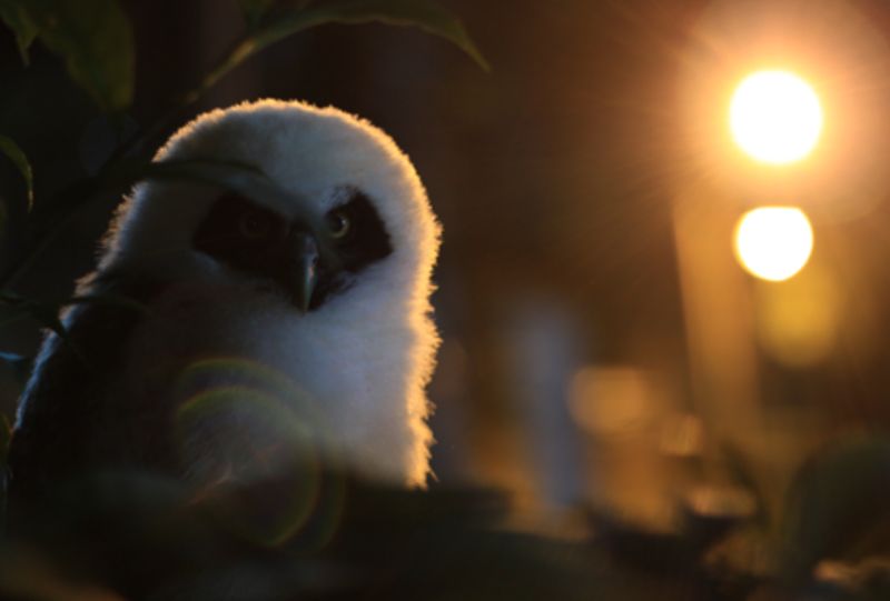 Conozca los ganadores del concurso de fotografía SEPA+ 2025