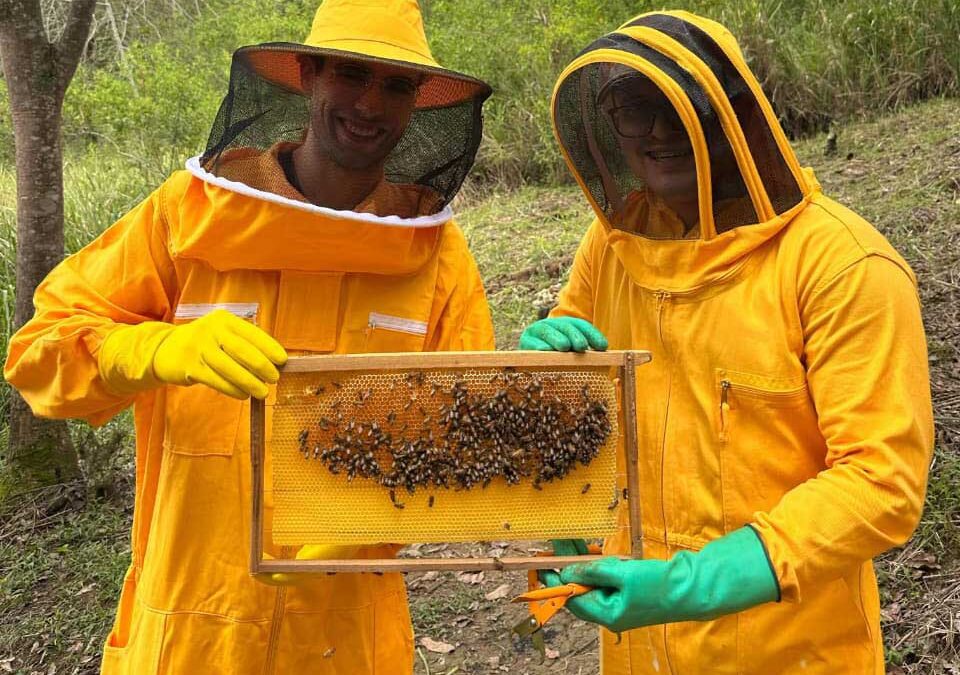 UNAB gana financiación europea para ejecutar proyectos entre 2026 y 2029