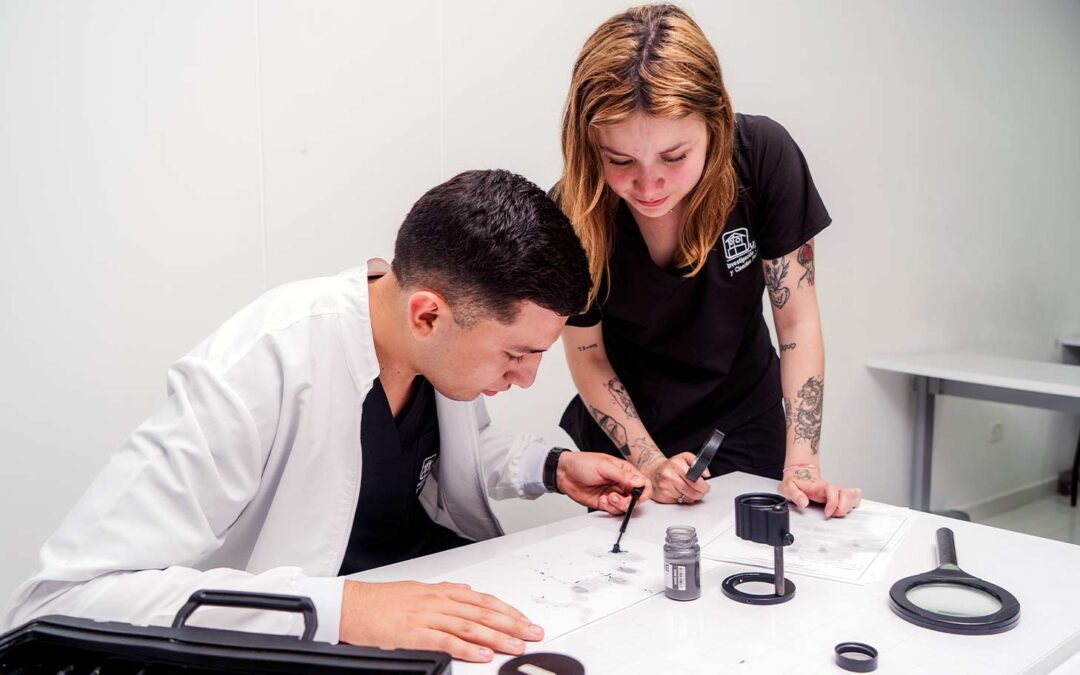 Hito institucional: por primera vez una tecnología UNAB recibe acreditación en alta calidad
