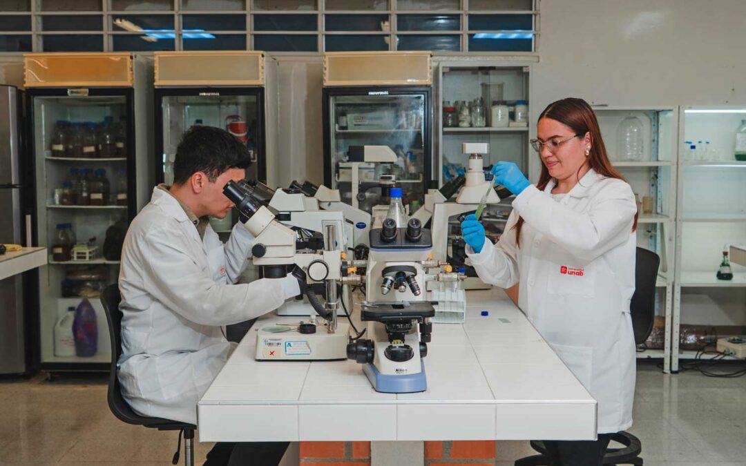El programa de la UNAB que busca aliviar los desafíos ambientales de las empresas