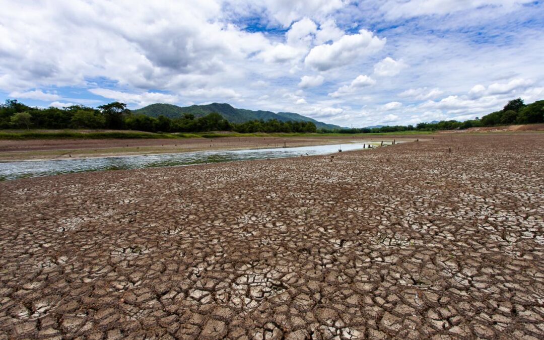 El Niño, ¿qué hay detrás del fenómeno y cómo podemos prepararnos para sus efectos?